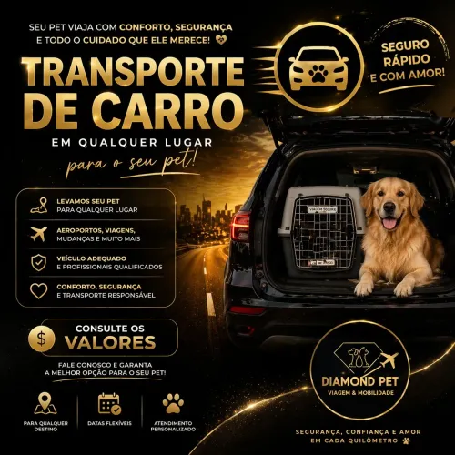 Transporte para pets