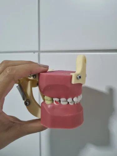 Manequim de pediatria odontológico 