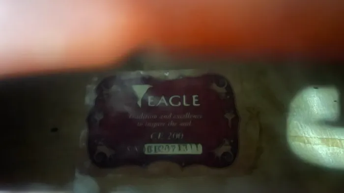 Violoncelo EAGLE CE 200 4/4