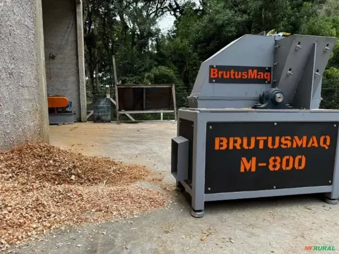 Máquina de maravalha Brutusmaq