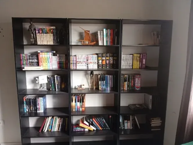 Estantes de livros
