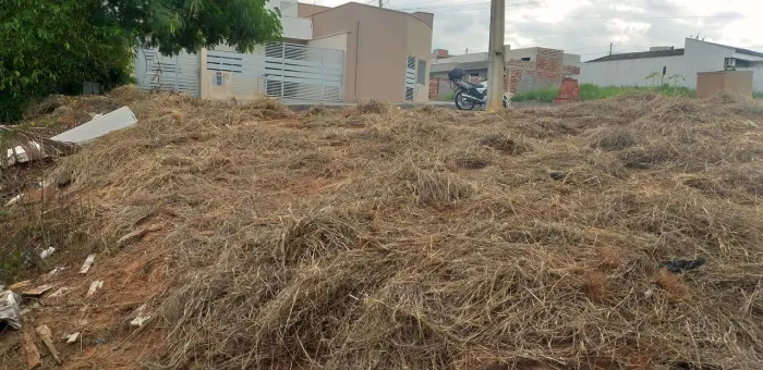 Vendo terreno
