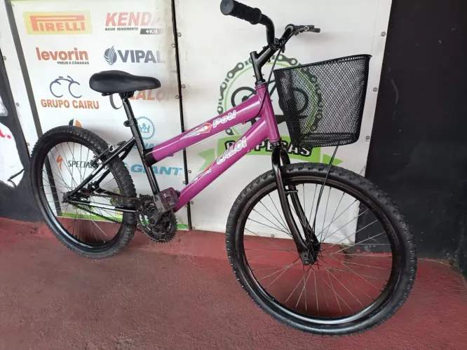 Bicicleta aro 24