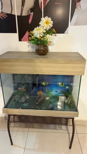 AQUÁRIO 70 LITROS À VENDA 