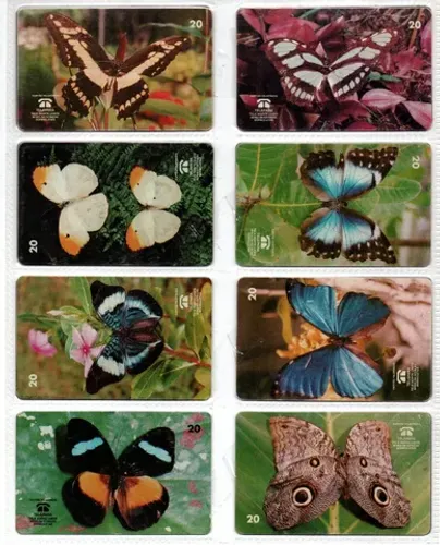 serie plantas medicinais e serie em extinção borboletas
