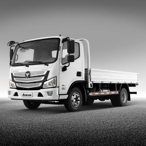 Caminhão Foton Se 916