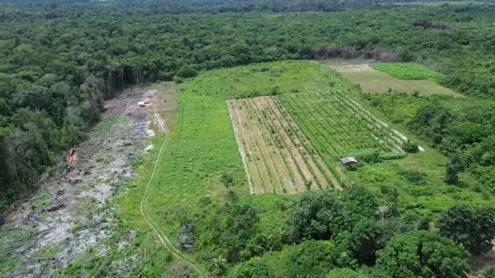 24.1 hectares sitio por 290 mil reais igarape açu
