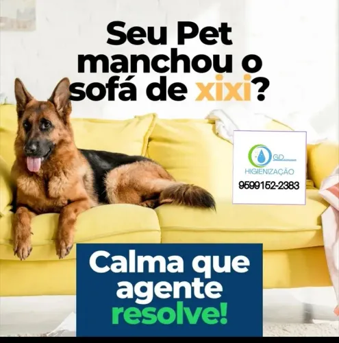 Higienização de Sofá - Pet Amigável