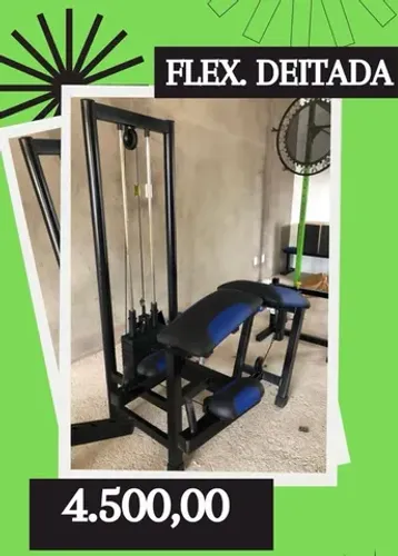 Flexora deitada nova