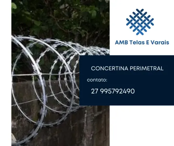 Concertina
