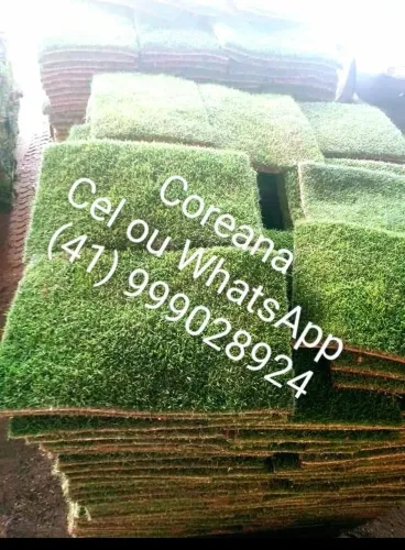 Gramado Coreana para Jardim - Qualidade Superior!