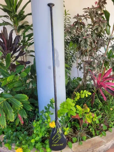 Remo Stand up SUP fibra de carbono Full extra leve