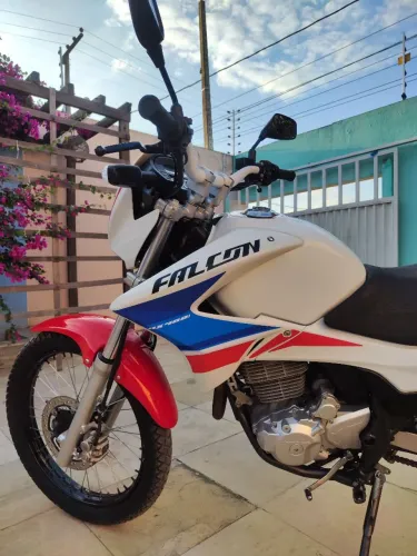 Falcon capitão América 