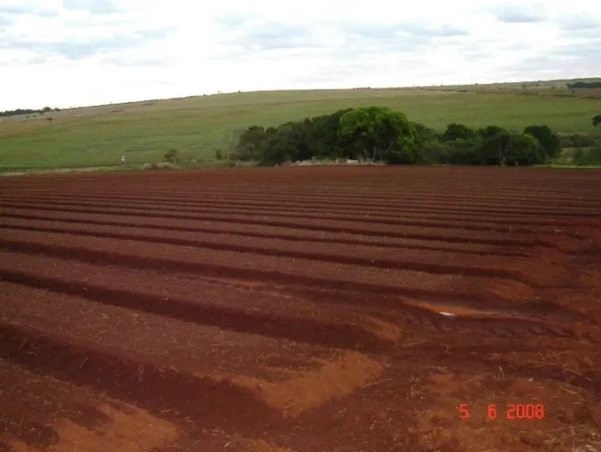 Fazenda em lavoura 56 alqueires Anápolis-go
