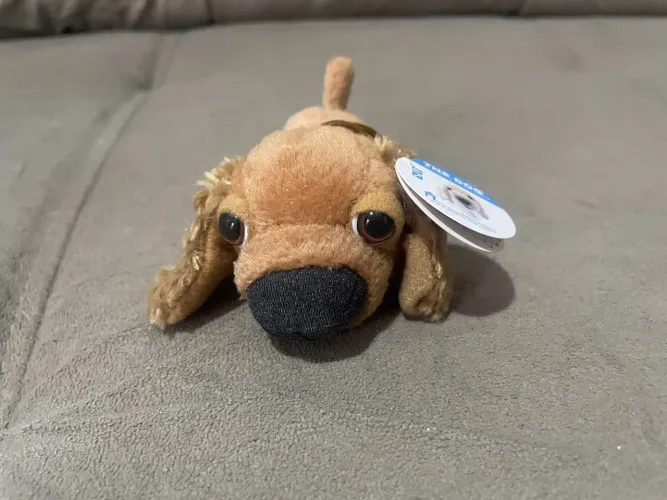 Pelúcia: Cachorro 'The Dog'