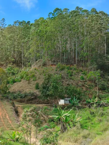 Sítio nas Montanhas 22.000m²