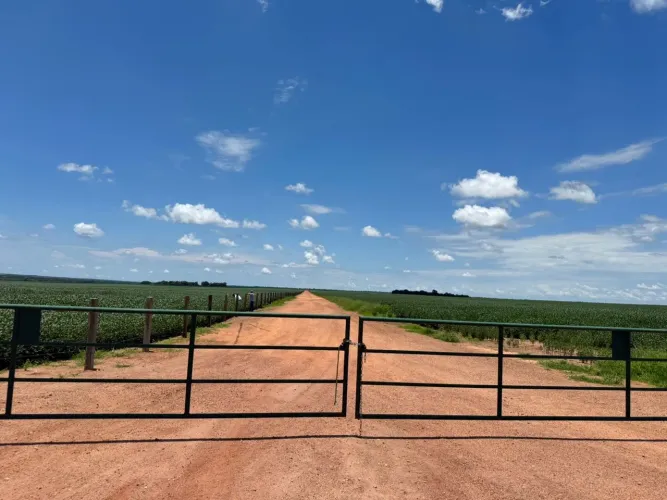 R$200 Milhões Fazenda de 1.000 alqueires em Tocantins 