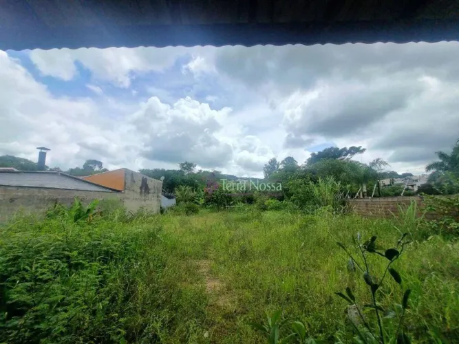 TERRENO PLANO