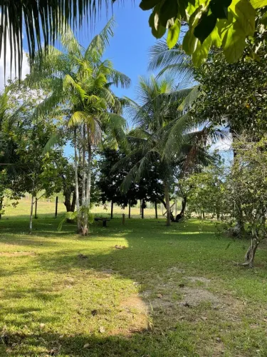 FAZENDA - TARTARUGALZINHO