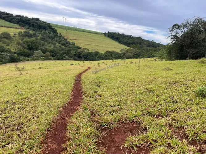 sitio em batatais 7 alqueires 1.400.000.00    ( v )