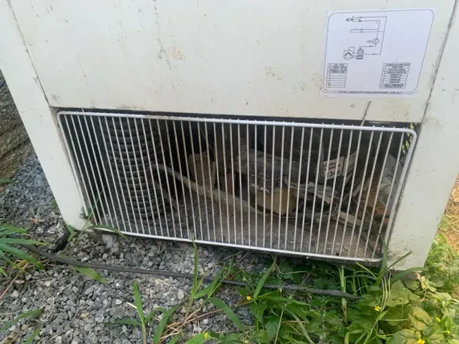 freezer