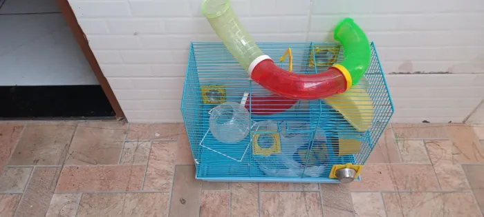 Gaiola pra Hamister
