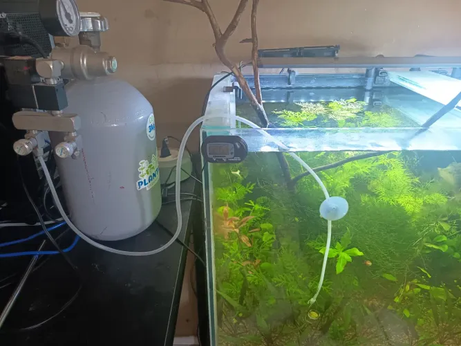 Kit de CO2 para Aquario 
