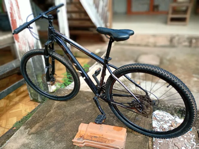 Bicicleta