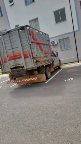 .Frete de gado e cavalos