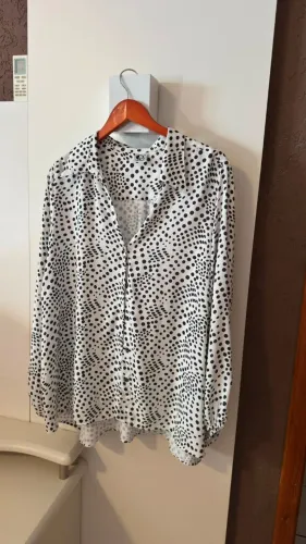 Camisa
