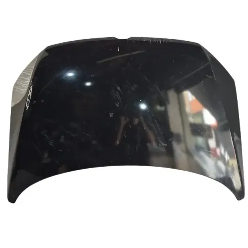 Capô Volkswagen Fox 2011 2012 2013 2014 Original 27160