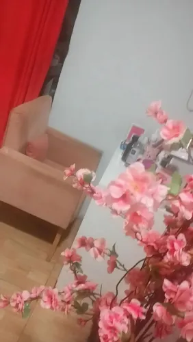 3 Poltronas 1 poltrona reclinável