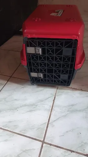 Caixa pra pet ou gato (numeração 5) toda perfeita