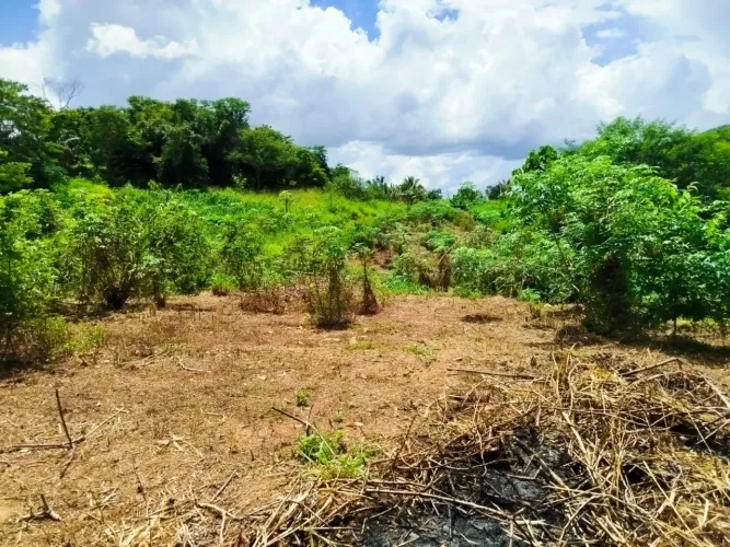 Chácara a venda 12 minutos de parauapebas