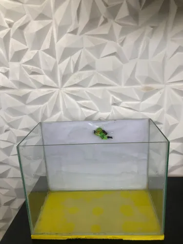 Aquario
