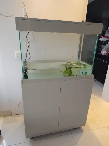 Aquário novo 80x50x40
