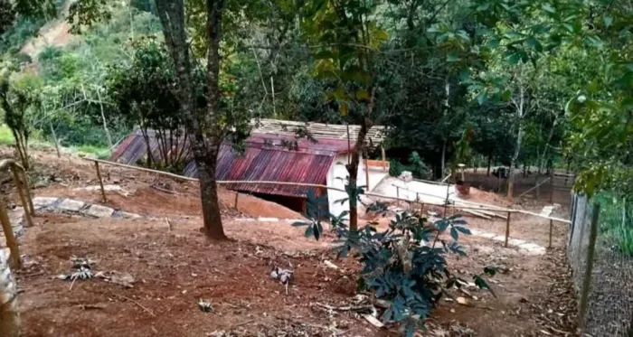Terreno