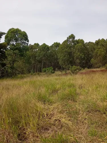Terreno à venda, 1000 m² por R$ 60.000 - Pedras - Itatiaiuçu/MG