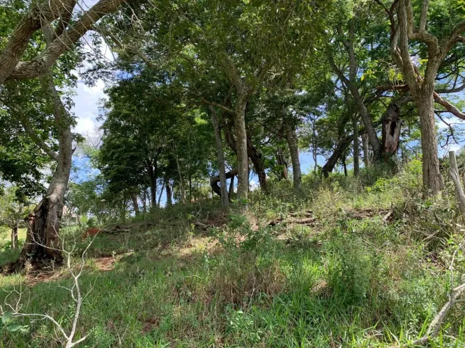 Excelente área rural para venda entre São Lourenço e Soledade MG