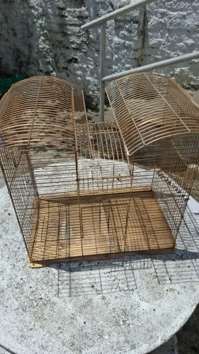 Gaiola média