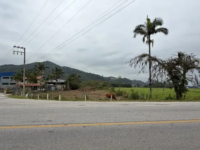 Aluguel patío 1.760m2 rodovia Jorge Lacerda, Ilhota SC divisa com Itajai.