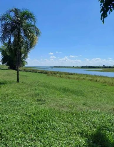 FAZENDA EM CANA À VENDA  ATIVO PREMIUM | REGIÃO DE ARAÇATUBA/SP