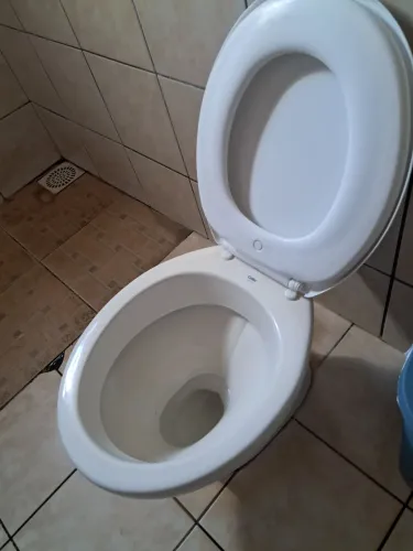 Vazo