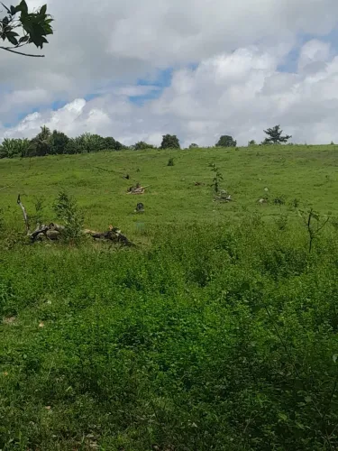 sítio de 18 hectares (7,5 alqueires) na região da cidade de Comodoro MT