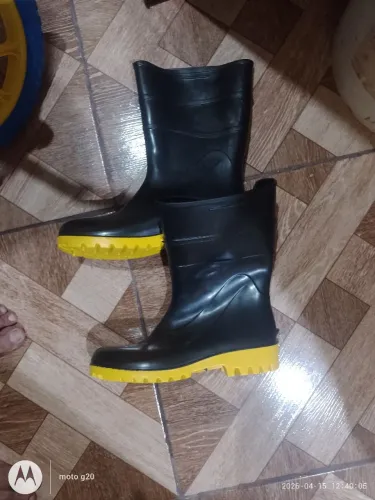 Bota nova 