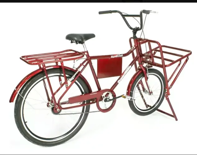 Bicicleta cargueira