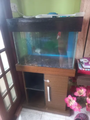 Aquário 90 litros