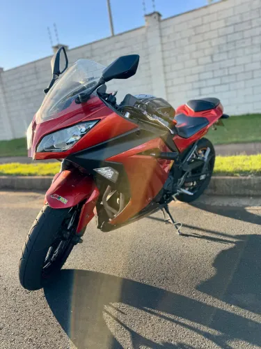 Ninja 300