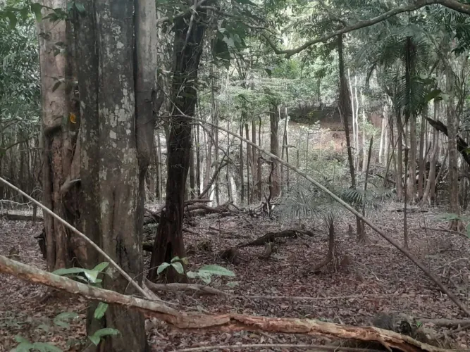 Vende ou troca por algo do meu interesse.