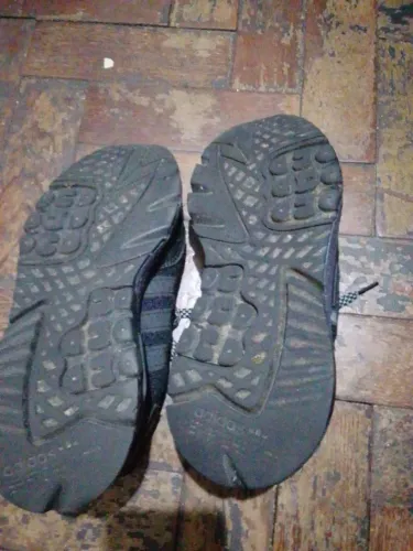 Tenis